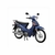 Estator Honda Wave NF 100 en internet