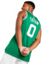 Regata Boston Celtics Nike Icon Edition Swingman Unissex - Verde - comprar online