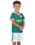 Kit Infantil Verdão Home 24/25 - Torcedor - Verde / Branco