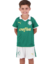 Kit Infantil Verdão Home 24/25 - Torcedor - Verde / Branco na internet