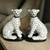 Leopardos, pareja - comprar online