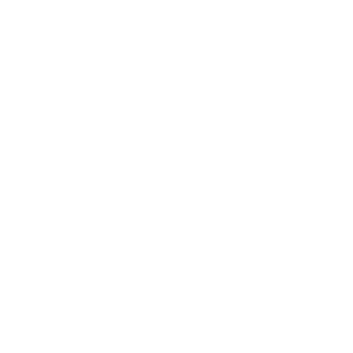 Shopcarpeças