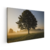 Quadro Decorativo Amanhecer Sereno em Richmond Park - comprar online