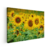 Quadro Decorativo Flores No Campo: O Esplendor Dos Girassóis - comprar online