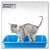 Combo Gatuno - comprar online