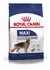 Alimento Balanceado para perros Royal Canin - Mordida Maxi