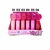 Lip Gloss e Batom 2 em 1 - Labranche - comprar online