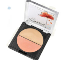 Rubor/Iluminador LIGHT & BLUSH en internet