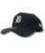 DETROIT TIGERS