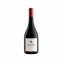 Caure Syrah Sao Patricio