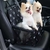 CADEIRINHA PET ASSENTO CARRO - comprar online