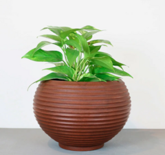 VASO BROMELIA 36 X 37 CM RUSTY