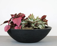 VASO TERRA BOWL 75 X 24 CM - comprar online