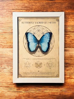 Quadro Decorativo Butterfly - comprar online