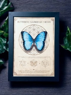 Quadro Decorativo Butterfly