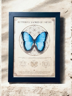 Quadro Decorativo Butterfly na internet