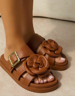 Birken Flor