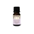 KIT CERAMICA + ESSENCIA LAVENDER BLUE 10ML PROALOE - comprar online