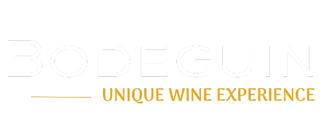 Bodeguin Vinhos