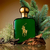 Polo Green - Ralph Lauren EDT na internet