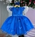 Vestido Marie Azul Royal Jardim Encantado Renda Realeza - Ferreira Kids