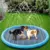 Piscina Inflável para Pets com Chafariz - comprar online