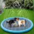 Imagem do Piscina Inflável para Pets com Chafariz