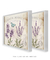 Dupla Quadros Decorativos Lavanda - Bless Art