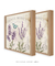 Dupla Quadros Decorativos Lavanda - loja online