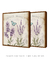 Dupla Quadros Decorativos Lavanda - loja online