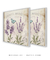 Dupla Quadros Decorativos Lavanda - loja online