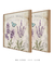 Dupla Quadros Decorativos Lavanda - loja online