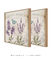 Dupla Quadros Decorativos Lavanda - comprar online