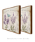 Dupla Quadros Decorativos Lavanda - Bless Art