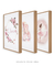 Trio Quadros Decorativos Bailarina - loja online