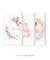 Trio Quadros Decorativos Bailarina - comprar online