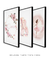 Trio Quadros Decorativos Bailarina - comprar online