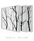 Trio Quadros Decorativos Galhos - comprar online