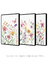 Trio Quadros Decorativos Primavera - comprar online