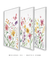 Trio Quadros Decorativos Primavera - Bless Art