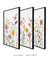 Trio Quadros Decorativos Primavera - loja online