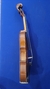 Violino 4/4 Cremona SV-75 na internet