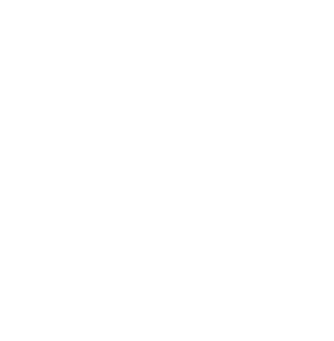 CLOSET CHIC STORE 