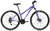 Bicicleta Mountain Bike Wish 295 R29 Violeta