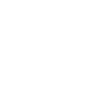 Rebel