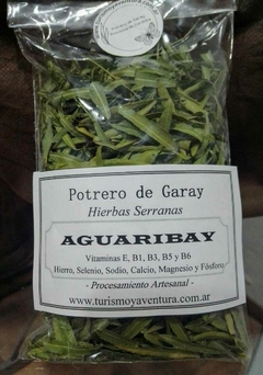 Hojas de Aguaribay