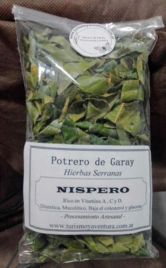 Hojas de Nispero