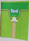 POTOSI CUAD 24H RAYADO T/B