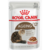 Royal Canin Ageing 12+ 85g