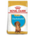 Royal Canin Dachshund Puppy